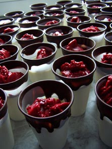 Panna Cotta Panna Cotta