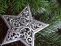 Weihnachtsstern