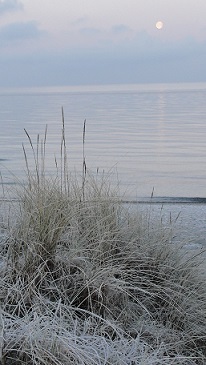 Hiddensee, frostiger Strand am Morgen